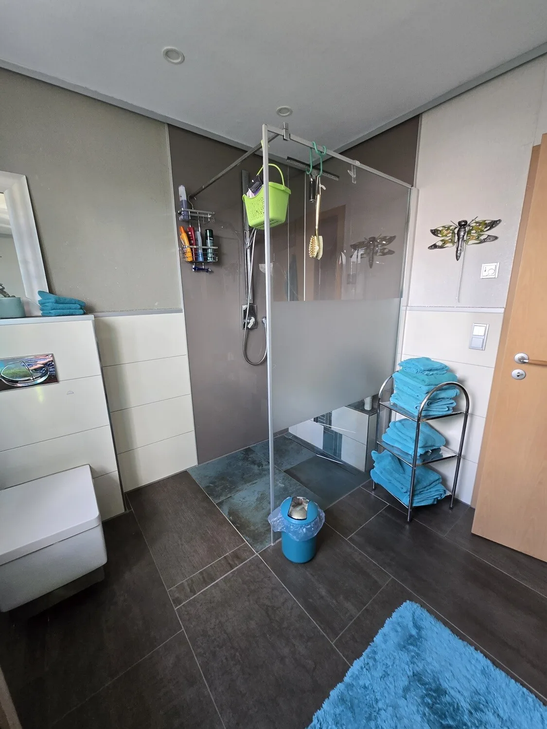 ... mit begehbarer Dusche
